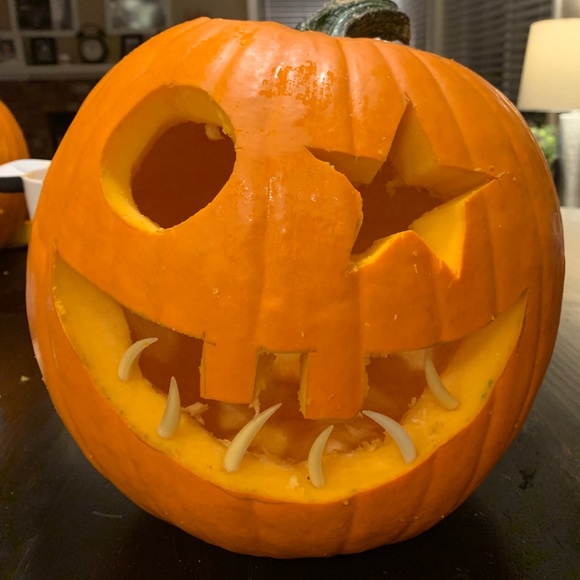 Meet your Posher, Peyton - Picture 1 of 1